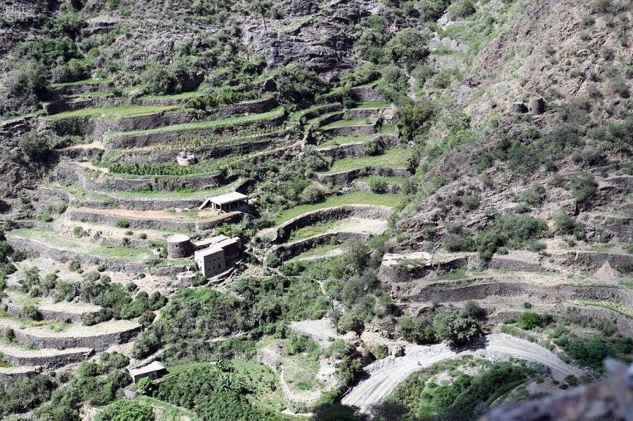 Addayer in jizan. (Supplied)