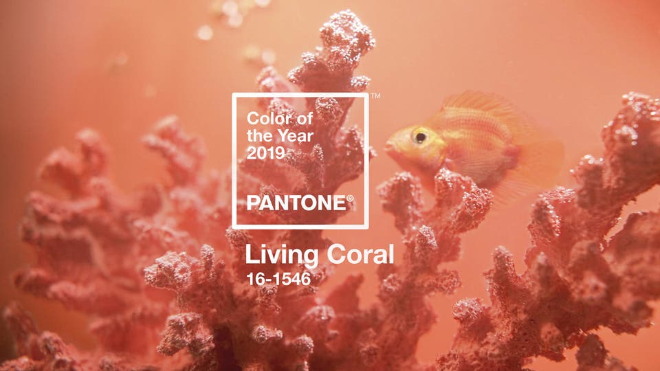 دليل ألوان "بانتون" يختار المرجاني الحيوي لعام 2019 2bfb4706-9c2f-4050-8943-13c7ebb69d58_16x9_1200x676