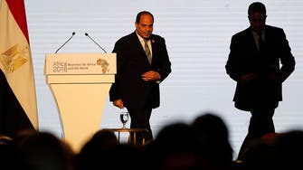 Egypt aims to kickstart African trade as it takes AU chair