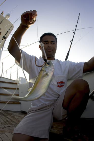 There many who enjoy fishing for taking them home and relishing the delicacy. (Supplied)
