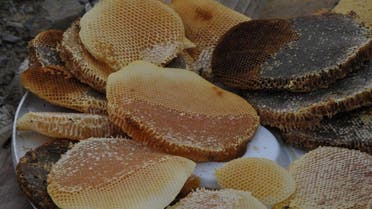 Honey beekeeping Saudi Jazan. (Supplied)