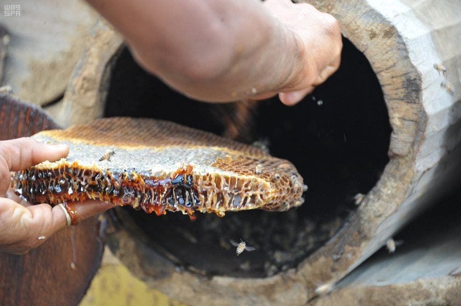 Honey beekeeping Saudi Jazan. (Supplied)