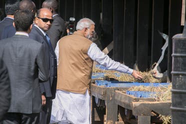 Prime Minister Modi feeds a cow as he visits the residents of Rweru in Bugesera District of Rwanda on July 24 ,2014. Modi gifted some cows to residents of Mweru, to support President Paul Kagame’s initiative to reduce poverty and childhood malnutrition in Rwanda. (AP)
