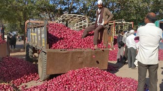 Collapse in India’s onion prices could leave Modi smarting in election