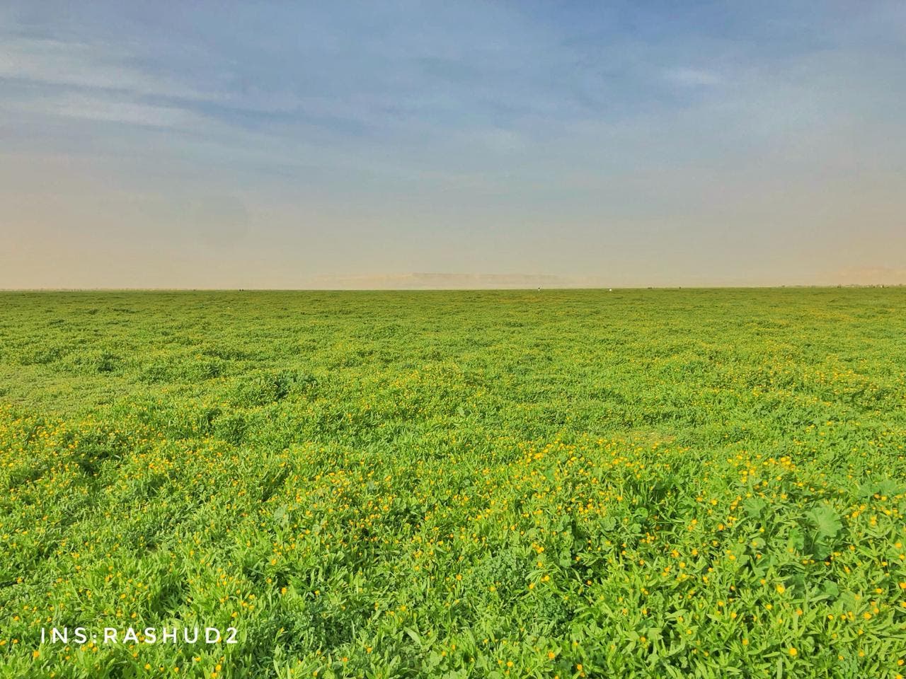 khofos meadows