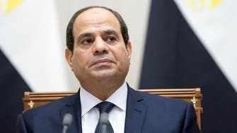 Egypt president urges nation to back push against militants