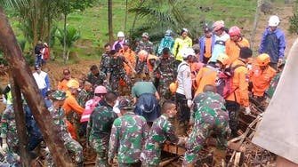 At least 11 dead in Indonesian landslides 