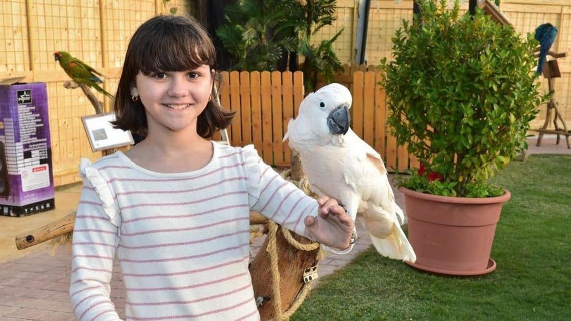 KSA, Birds