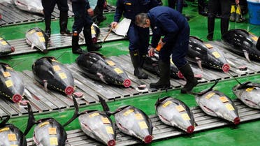 Tuna auction Japan. (AP)