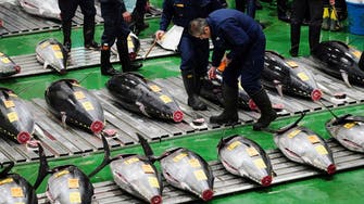 Bluefin tuna sold for $3 million in auction at Tokyo fish market