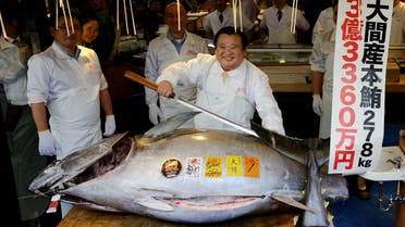 سمكة التونة - مزاد - اليابان