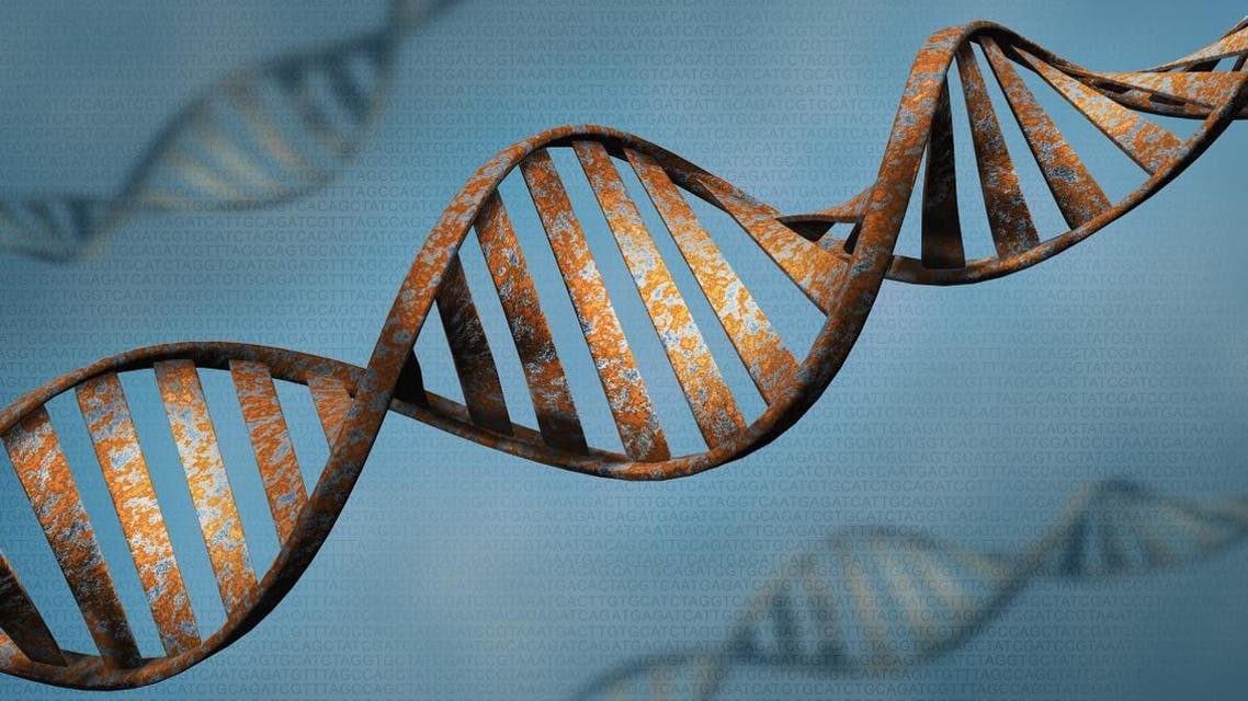 Biotechnology concept of old DNA and protein letter background, rust DNA and protein sequence 3d render - Illustration - Illustration Shutterstock