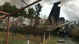 WATCH: Cargo plane crashes at airport near Tehran, 15 killed