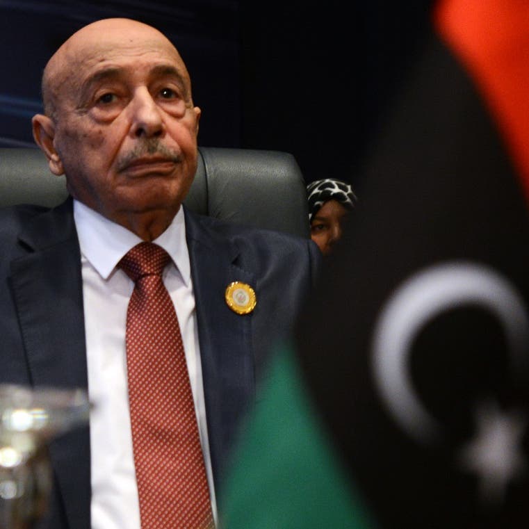 عقيلة صالح يلتقي سفير واشنطن بليبيا خلال زيارته للقاهرة