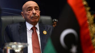 Parliament chief: Libya should hold elections even if draft constitution rejected 