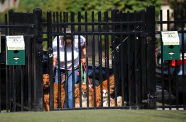 Dog walker Washington DC. (AFP)