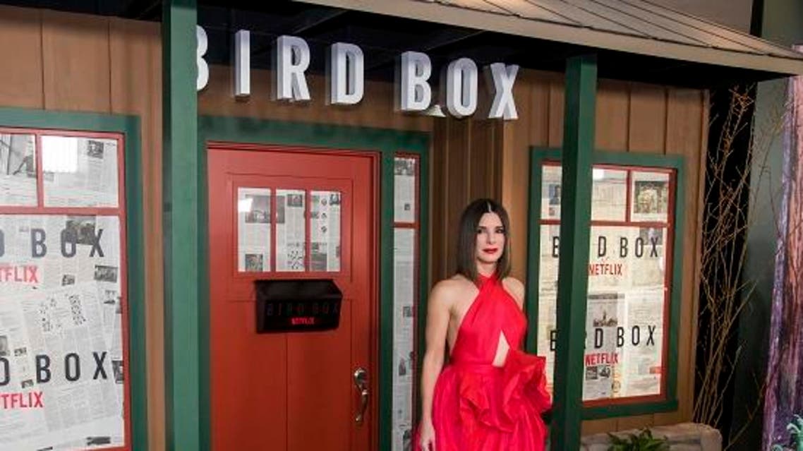 bird box ap