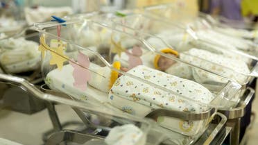 Babies in hospital nursery. (Shutterstock)
