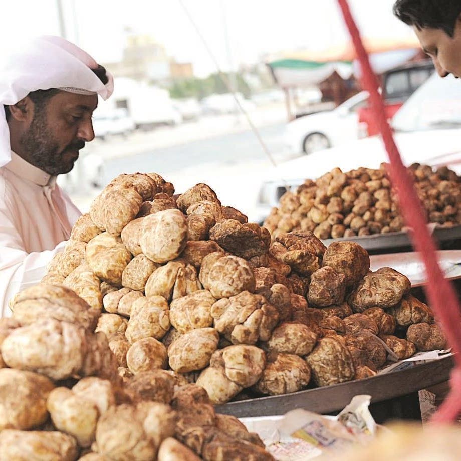 تعرف على قصة ثمرة 