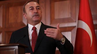 وزير خارجية تركيا يقر: وجهنا تحذيراً لمعارضي مصر