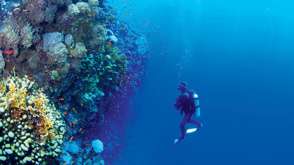 تحت الماء في جزيرة جبل الليث