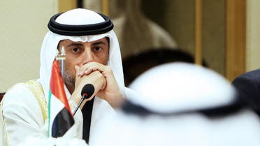 UAE Energy Minister Suhail al-Mazrouei (AFP)