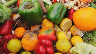 Germany launches push to halve food waste by 2030