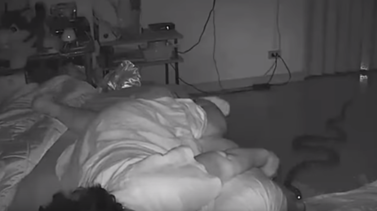 سكس امهات وهي نايمه