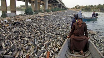 UN probe finds herpes virus killed millions of Iraqi carp