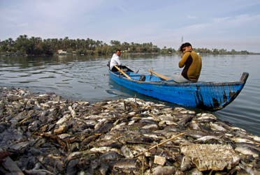 An Iraqi man stirs his boat around Dead fish, from nearby farms, floating on the Euphrates river near the town of Sadat al Hindiya, north of the central Iraqi city of Hilla, on November 2, 2018. Iraqi fishermen, south of Baghdad were stunned and angry after finding thousands of dead carp mysteriously floating in their water farms or washed up on the Euphrates' river bed.