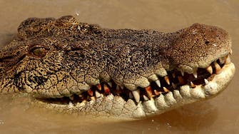 Man rescued from crocodile attack in Australia recovering in hospital