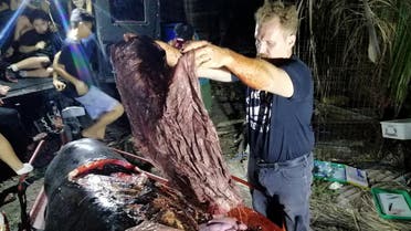 Darrell Blatchley, director of D’ Bone Collector Museum Inc., shows plastic waste found in the stomach of a Cuvier’s beaked whale in Compostela Valley. (AFP)