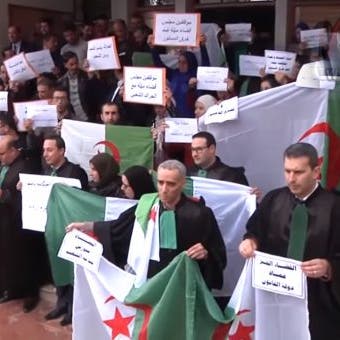 قضاء الجزائر معلق.. استجابة واسعة للإضراب المفتوح