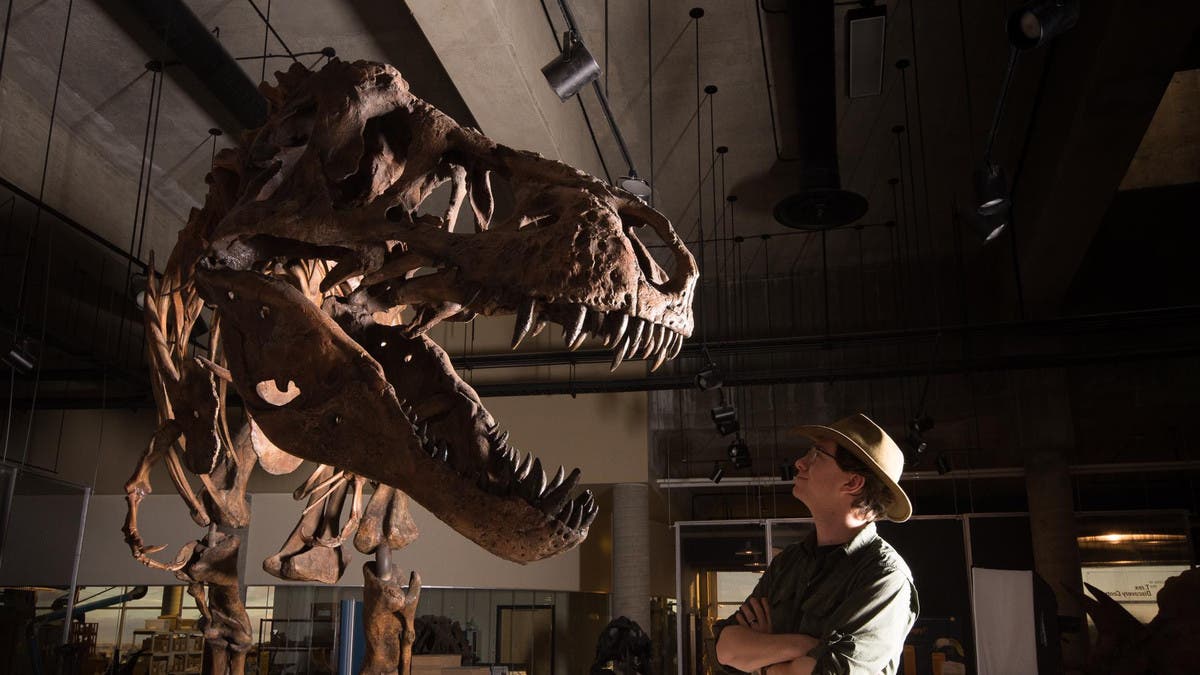 Meet T-Rex's older cousin: Canada's Reaper of Death