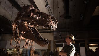 Tyrannosaurus rex found in Canada is world’s biggest 