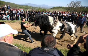 A competitor pushes his horses during “Straparijada”. (Reuters)