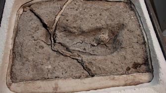 Oldest human footprint found in the Americas confirmed in Chile: Researcher