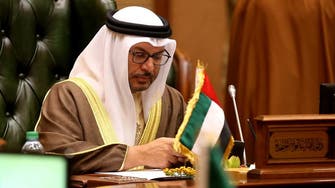 UAE minister: Dialogue regarding the south of Yemen important