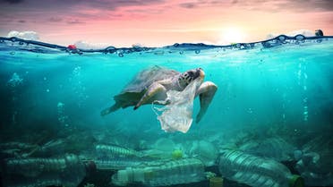 Plastic Pollution In Ocean - Turtle Eat Plastic Bag - Environmental Problem - Stock image