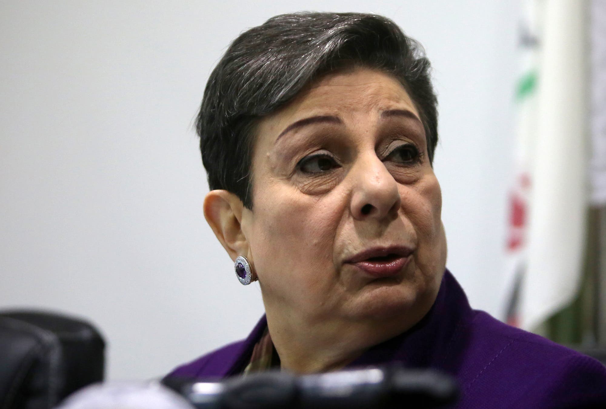 Hanan Ashrawi addresses a press conference in Ramallah on February 24, 2015. (AFP)