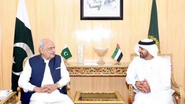 اماراتی سفیر کی پاکستان کے وزیر داخلہ سے ملاقات
