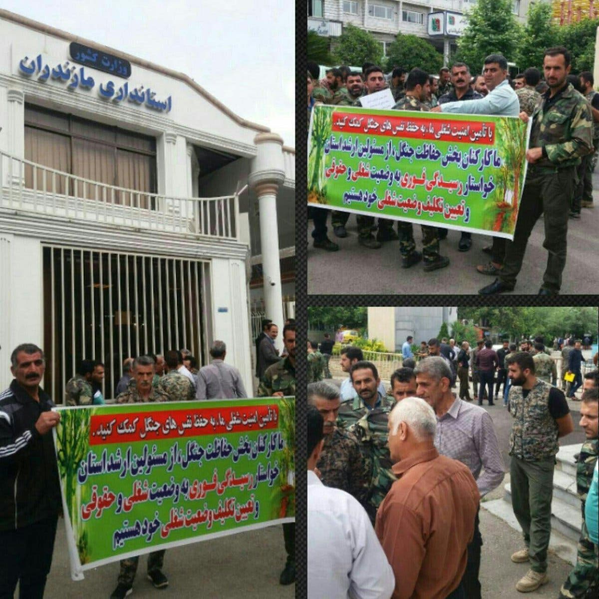 عمال الغابات في مازندران