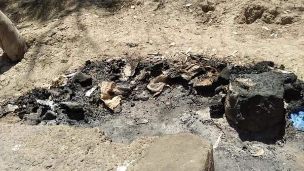 صور قطط محروقة تهز المغرب.. والقضاء يتحرك