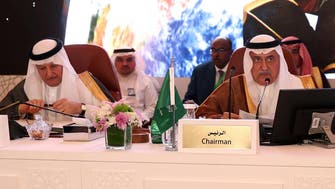 Saudi Arabia seeks Arab unity over Iran after attacks