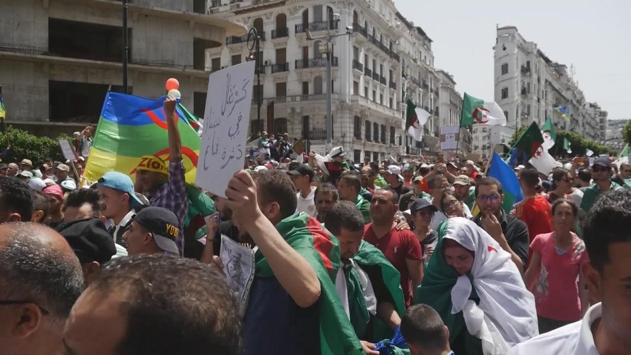 بعض أعلام الأقليات في الجزائر إلى جانب العلم الوطني