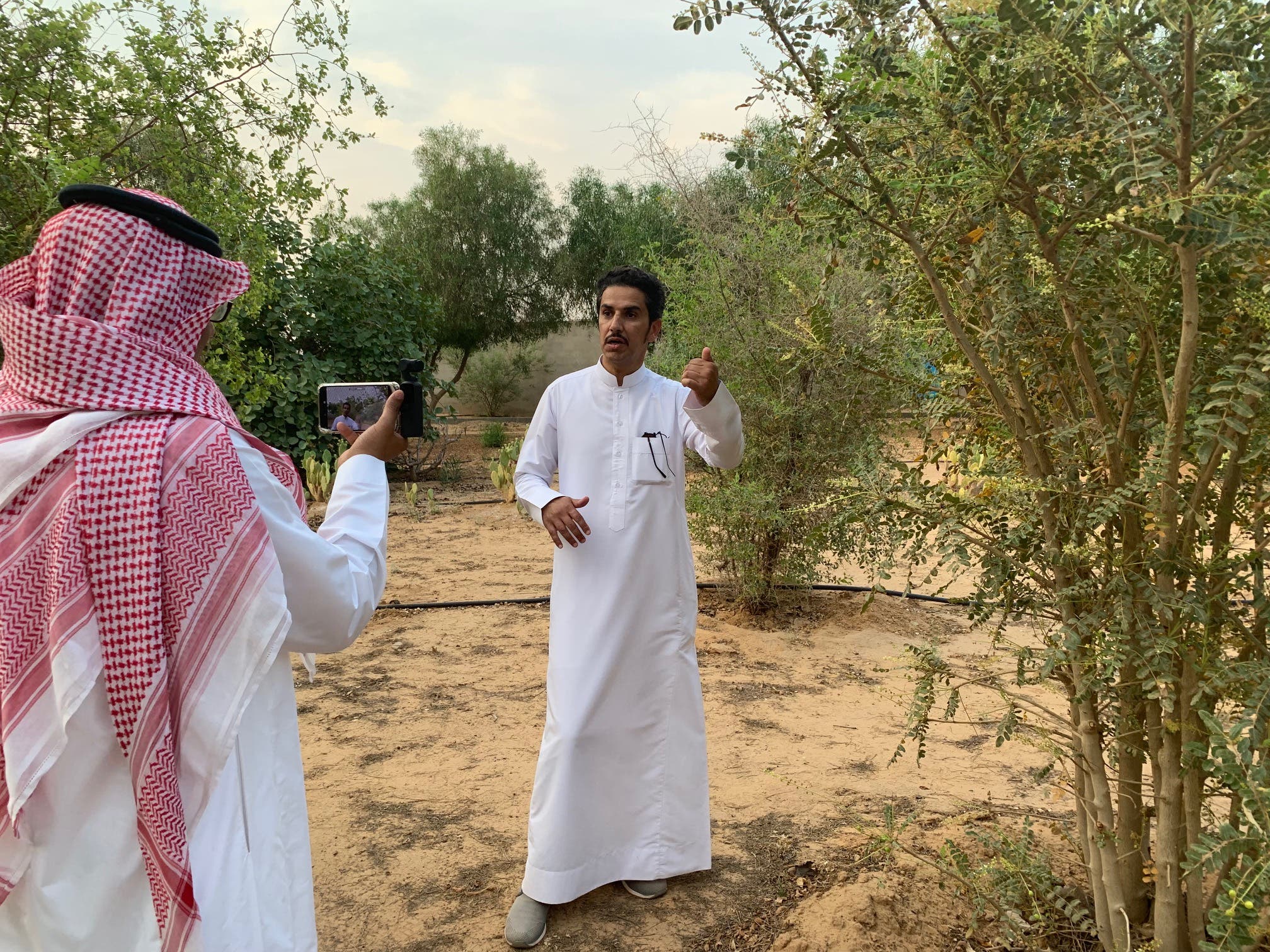 بعد 6 سنوات من التجارب سعودي ينجح بزراعة شجرة البخور
