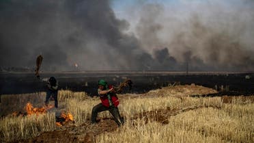 People battle a blaze in an agricultural field in the town of al-Qahtaniyah, in the Hasakeh province. (AFP)