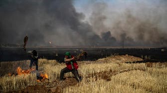 Field fires in Syria’s Hasakeh kill 10: monitor 