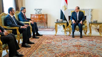 UAE FM urges Arab solidarity in meeting with Egypt’s Sisi