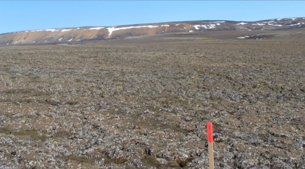 General view of a landscape of intact Arctic permafrost in Canada. (Reuters)